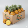 Ananas Victoria